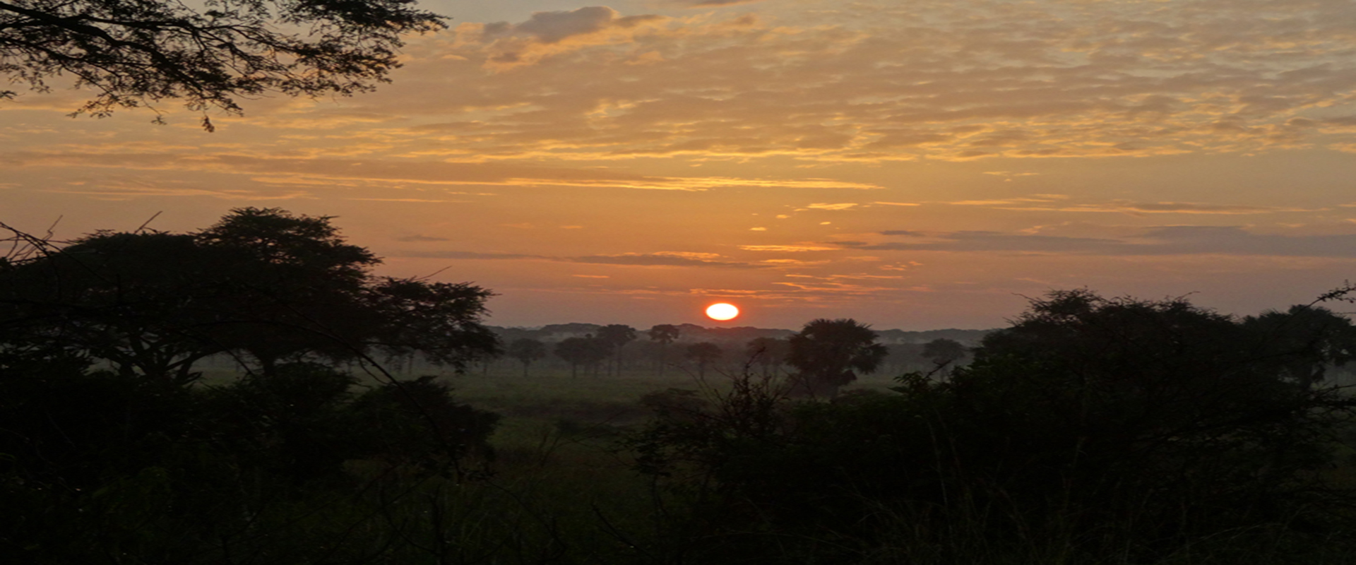 Uganda Adventure Safari (11 Days)