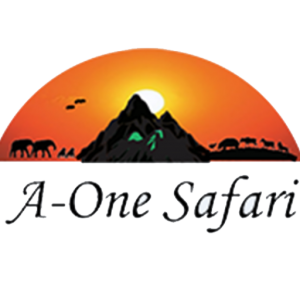 Logo Aone Safaris