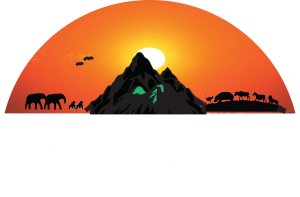Logo Aone Safaris