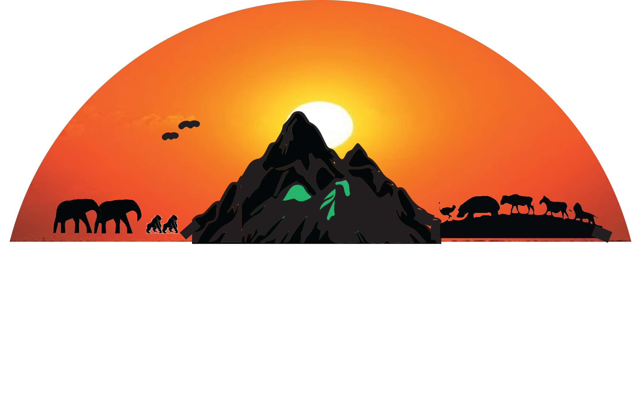A-One Safaris